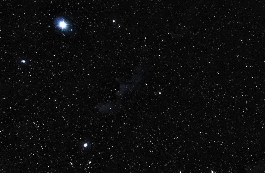 Nebuloasa Cap de vrajitoare, capul vrăjitor, orion, orizont constelație, orion nebuloasă, Orion Vânătorul, spaţiu, stele, galaxie, nebuloasă, nebulozitate