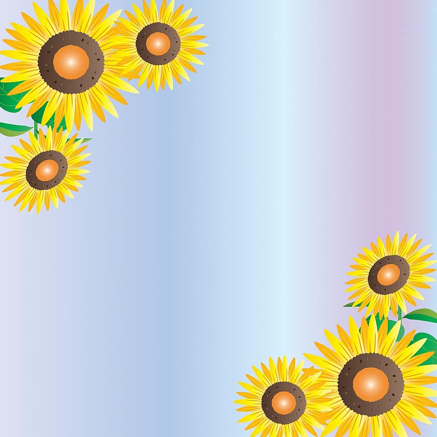 digitales Papier, Sonnenblumen, Schillernder Hintergrund, Papier-, Rahmen, Rand, Hintergrund, Blumenrahmen, Blumengrenze, Grußkarte, Vorlage