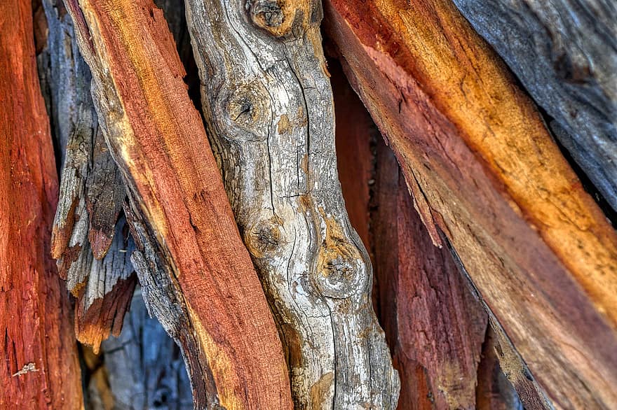 Wood, Firewood, Log, Hardwood, Tree, Old, Texture, Nature, Decorative, Closeup