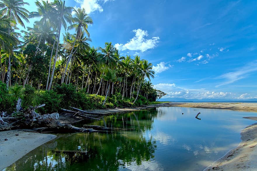 spiaggia, laguna, palme, riva, riva del mare, costa, isola tropicale, isola, Paradiso, alberi di cocco, cielo blu