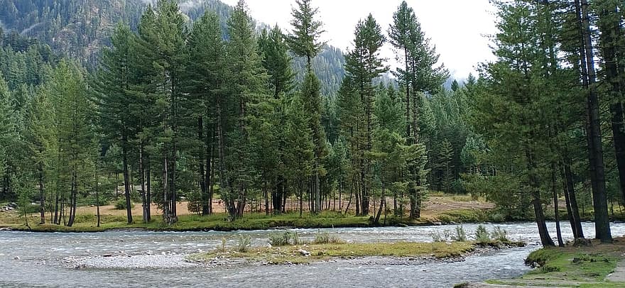 rivière, forêt, Montagne, la nature, courant, paysage, des arbres, Kumrat Valley