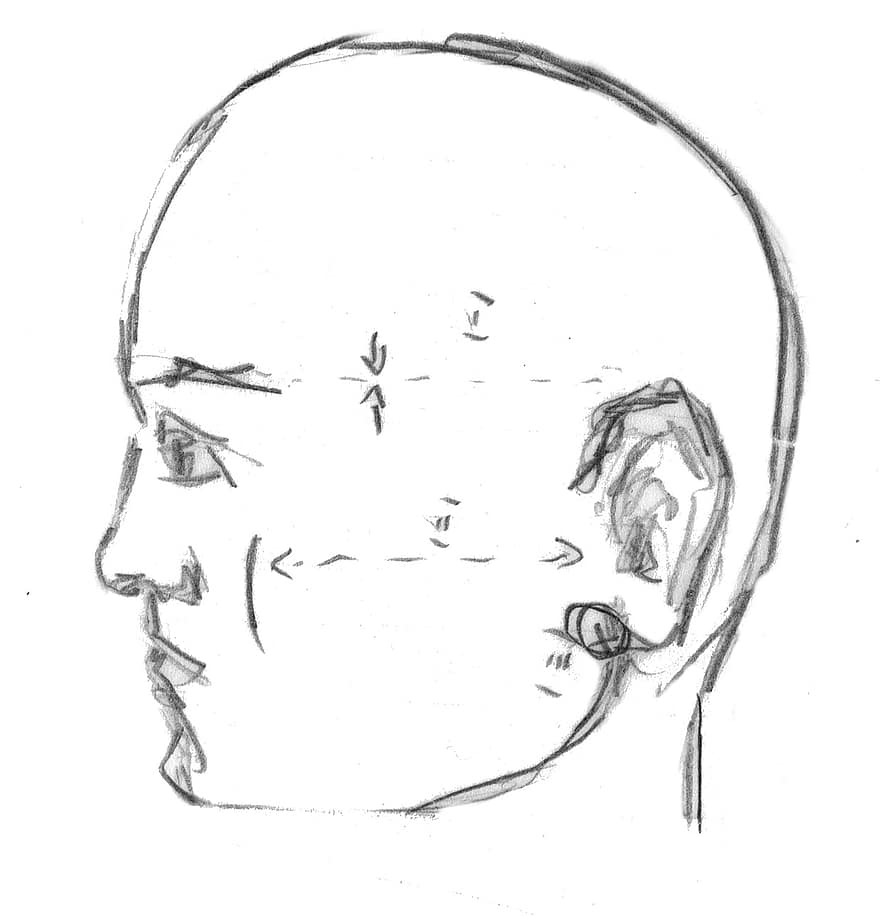 kepala, Profil, pria, manusia, menghadapi, kepala botak, sketsa, gambar, gambar pensil
