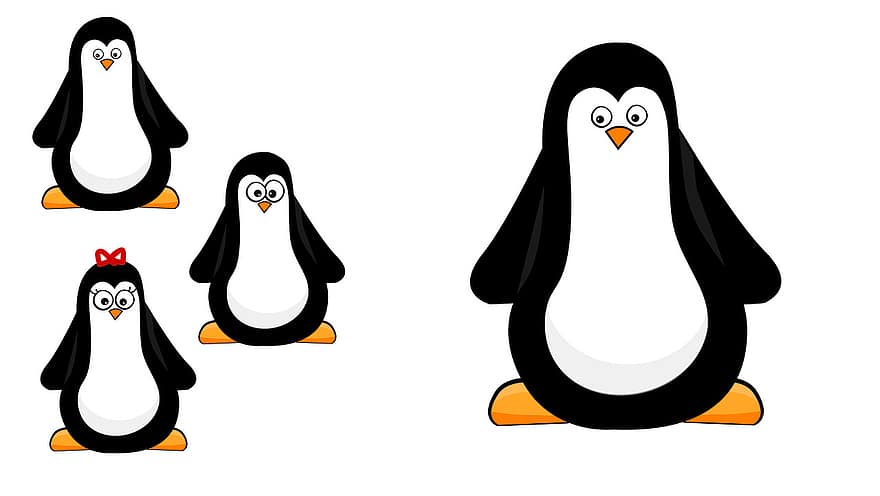 pingüino, animal, linda, mundo animal, frío, naturaleza, Antártida, zoo, pingüinos emperadores, gráfico, cómic