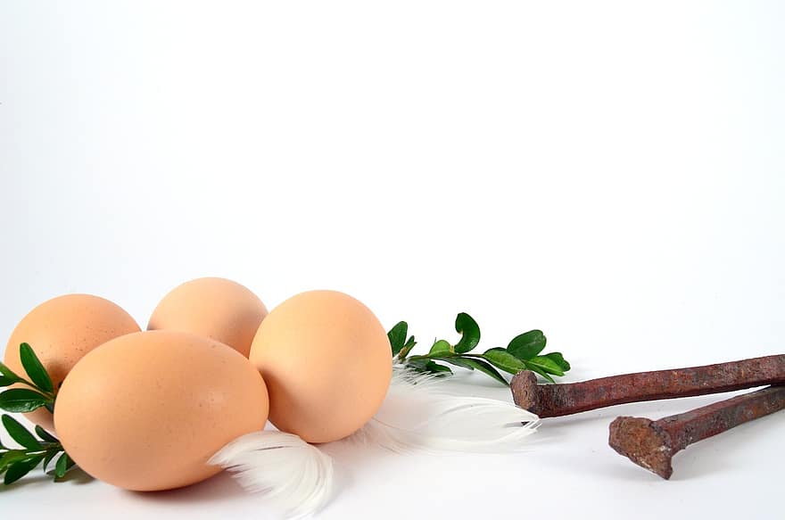 Protein, Eggs, Chicken, Healthy