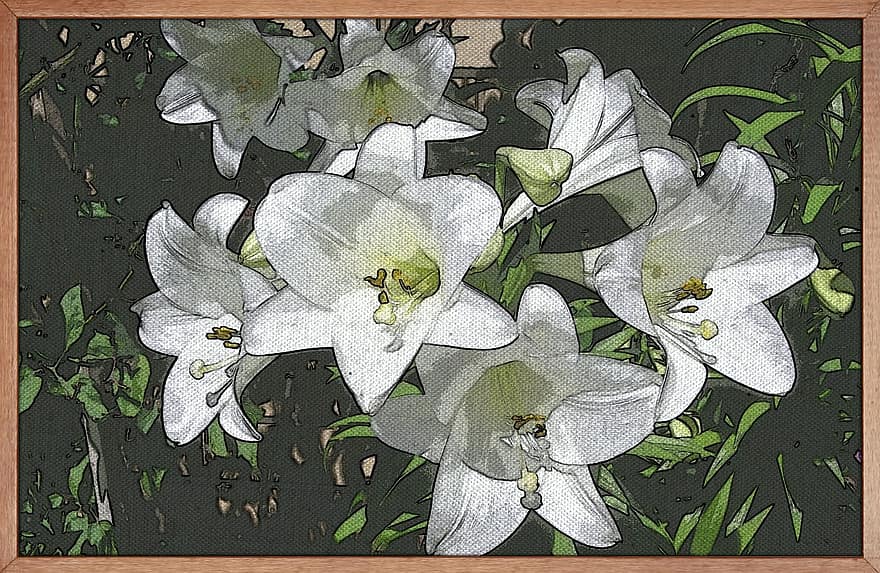 obraz, sztuka, Biała lilia, kwiaty, rama, ogród