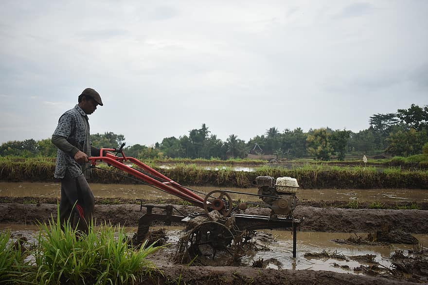 Farmer, Tractor, Countryside, Labor, Farming, Asia, Indonesia, men, working, agriculture, occupation
