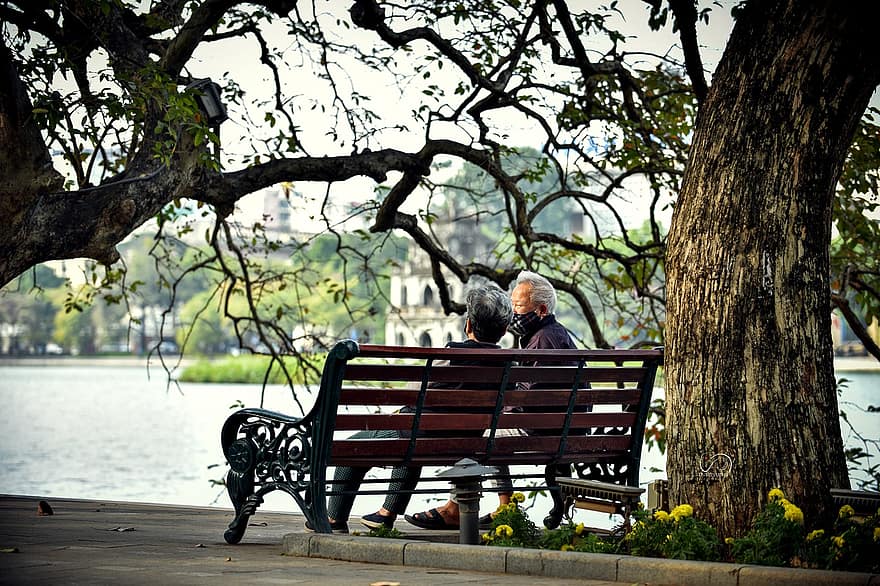 parella, parc, banc, romanç, amor, junts, naturalesa, a l'aire lliure, homes, arbre, assegut