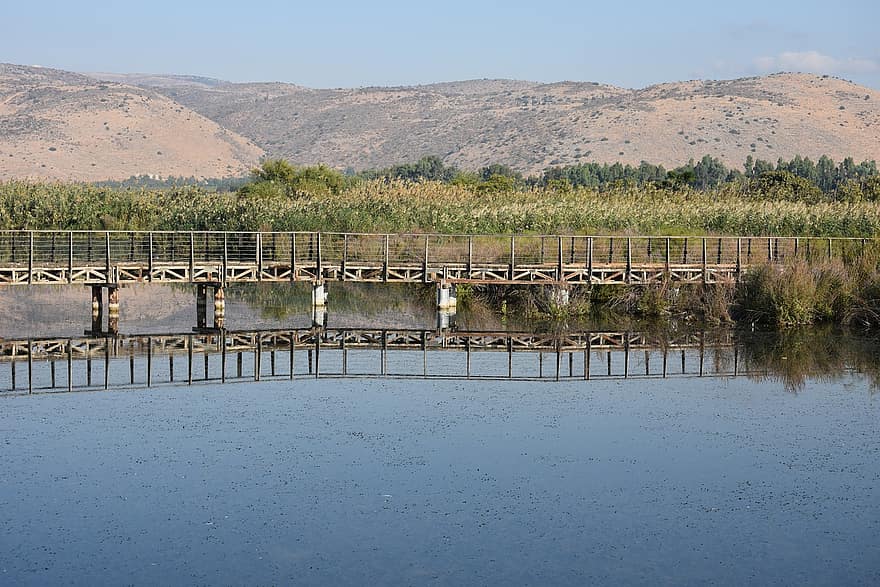 Lake, Bridge, Mountains, Hula Valley, Israel, Nature Reserve, Footpath, Wooden Bridge, Nature, Water