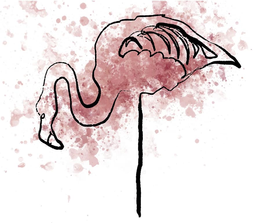 kuş, flamingo, Suluboya boyama