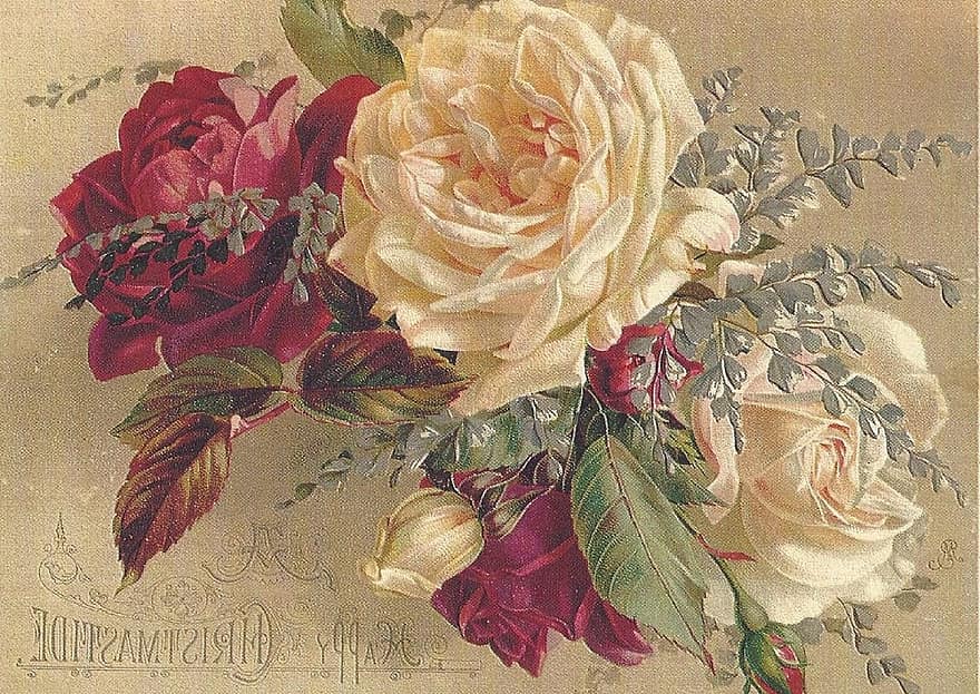 Giáng sinh Victoria, giáng sinh, người victoria, cổ điển, hoa hồng bắp cải, hoa hồng, Lời chào, đồ cổ, bông hoa