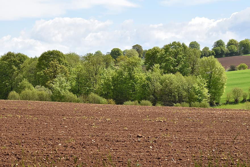 Agricultural Land, Agriculture, Cultivated Land, Plowed Land, Countryside, Trees, Field