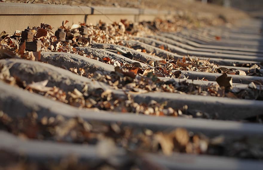 ferrocarril, hojas, suelo, vías del tren, hojas secas