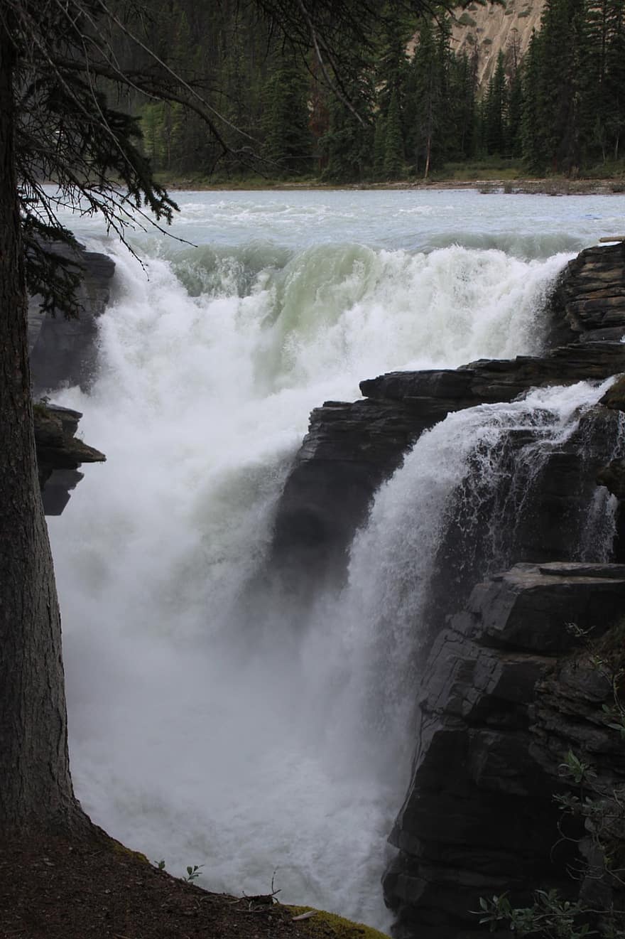 Wasserfall, Fluss, Berge, athabasca, Athabasca fällt, Kanada, alberta, Jaspis, Natur, Rocky Mountains, Landschaft