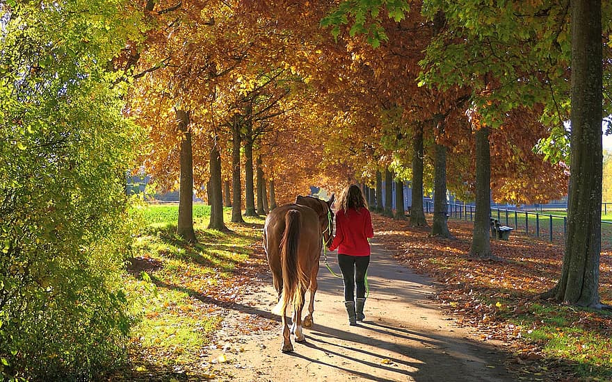 кон, момиче, приятелство, разходка, път, дървета, падане, конски, есен, листа, шума