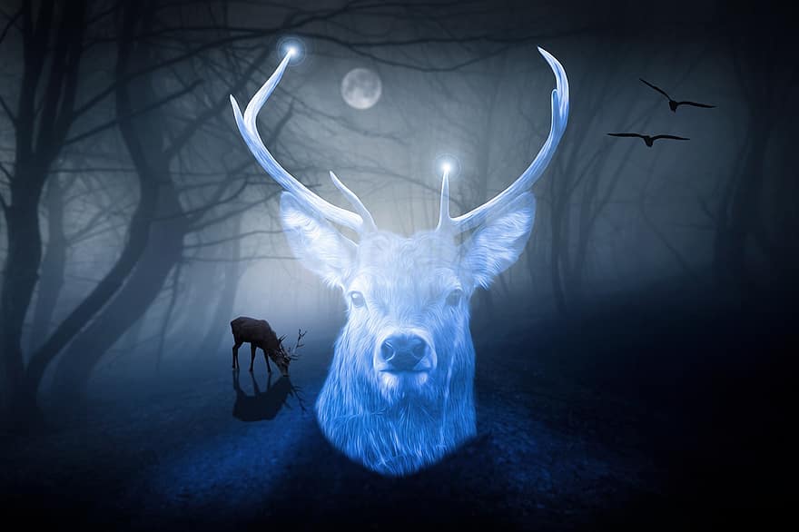 hjort, skog, natt, Patronus, måneskinn, måne, fantasi, trær, horned, mørk, skummelt