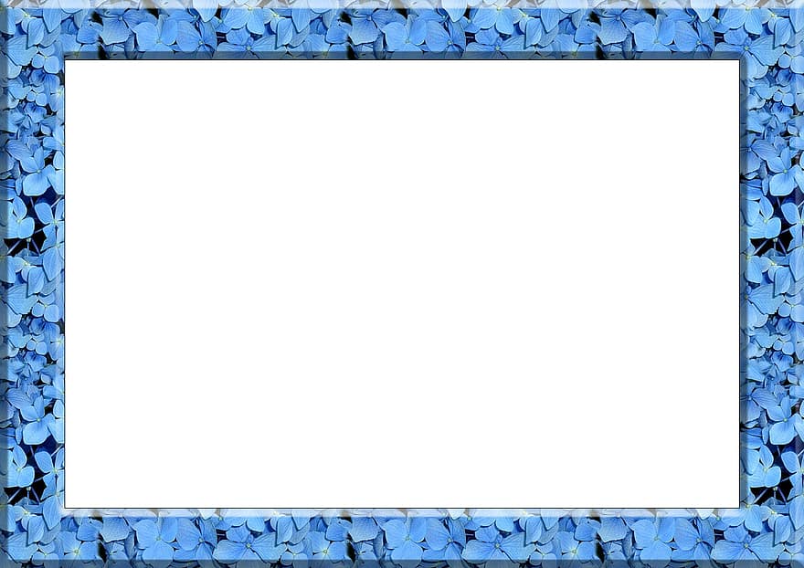 Frame, Picture Frame, Outline, Colorful, Color, Flowers, Forget Me Not, Pointed Flower, Blossom, Bloom, Blue