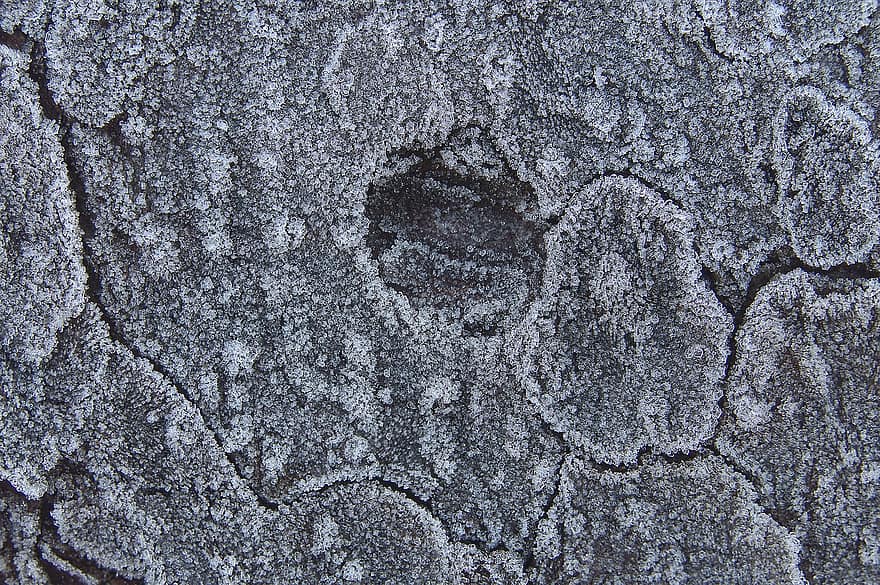 Ice Crystals, Frost, Frozen, Winter, Bark, Tree Trunk, pattern, backgrounds, close-up, sand, abstract
