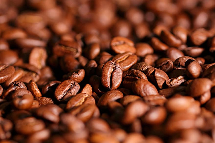 кофе, кофейные зерна, кофеин, крупный план, боб, фоны, свежесть, напиток, макрос, семя, темно