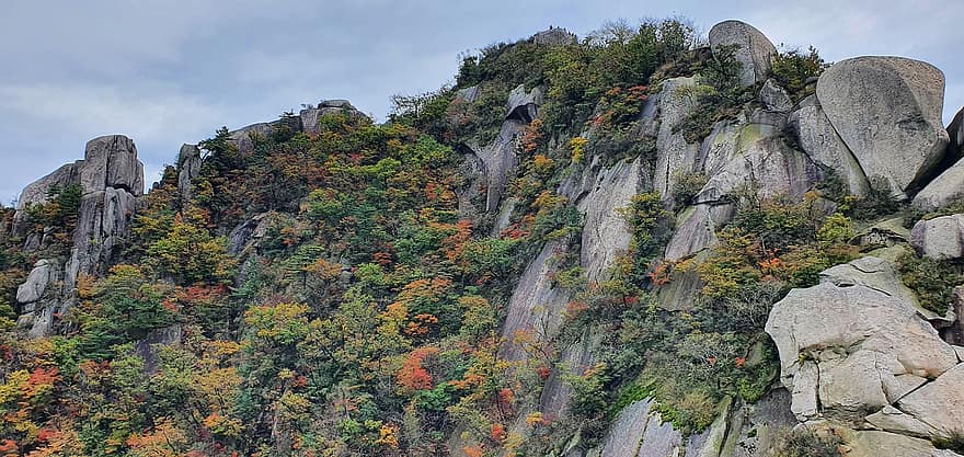 muntanya, arbres, roques, penya-segat, Fulles de tardor de Bukhansan, maple, paisatge de tardor, paisatge, Tardor Bukhansan, foto de tardor, tardor