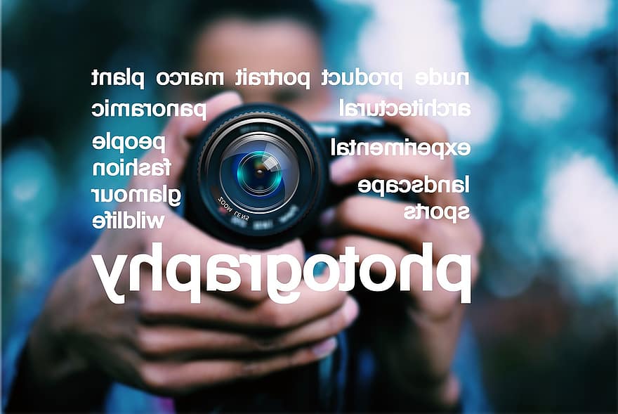fotografi, fotografera, fotograf, font, ord, natur, Foto, närbild, makro, kamera, lins