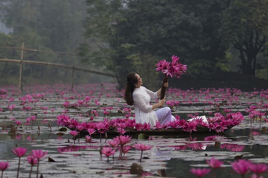 teratai, bunga-bunga, wanita, gaun putih, bunga-bunga merah muda, bunga lotus, bantalan lily, berkembang, mekar, kelopak, kelopak merah muda