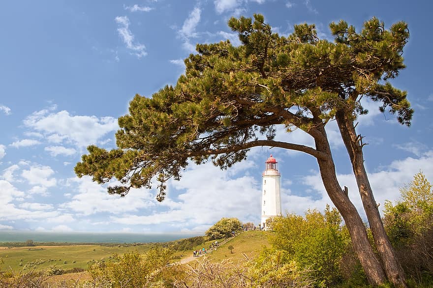 To Reprimand, Lighthouse, Baltic Sea, Landscape, Sea, Nature, tree, blue, coastline, summer, architecture