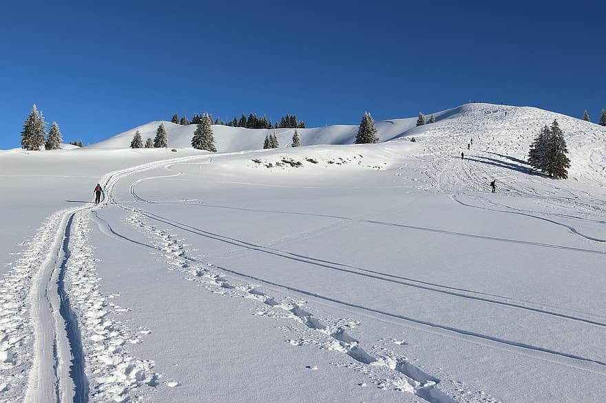 Góra, śnieg, narty, tor, Sporty zimowe, alpejski, zimowy, sport, krajobraz, Sporty ekstremalne, niebieski
