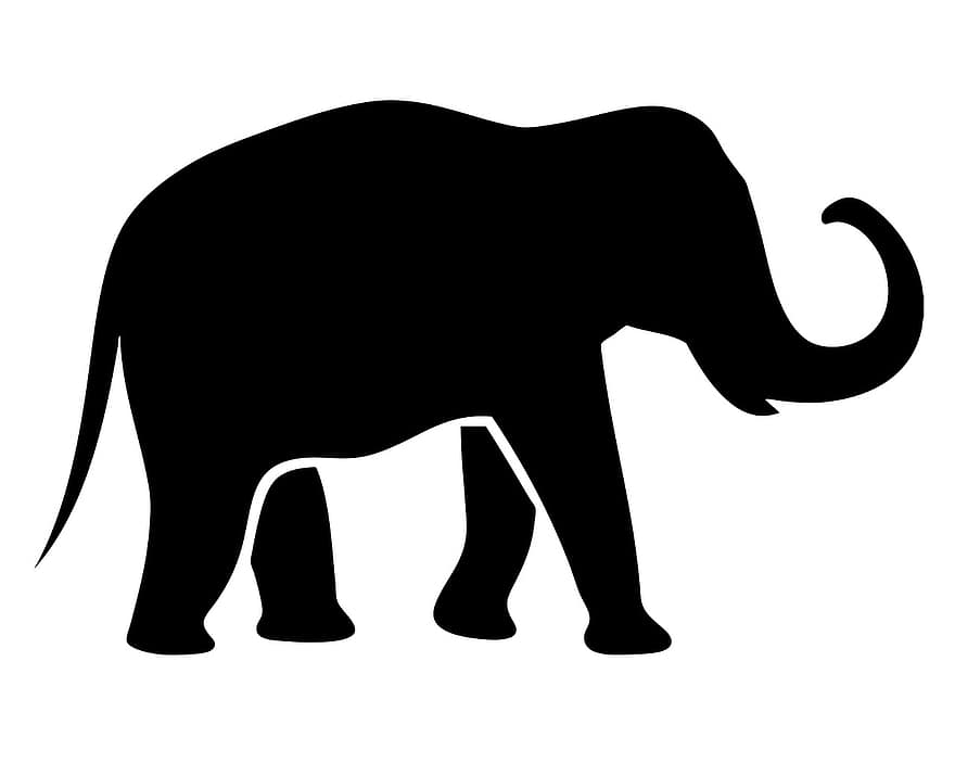 слон, силует, животно, природа, бозайник, черно, символ, чертеж, форма, очертание, профил