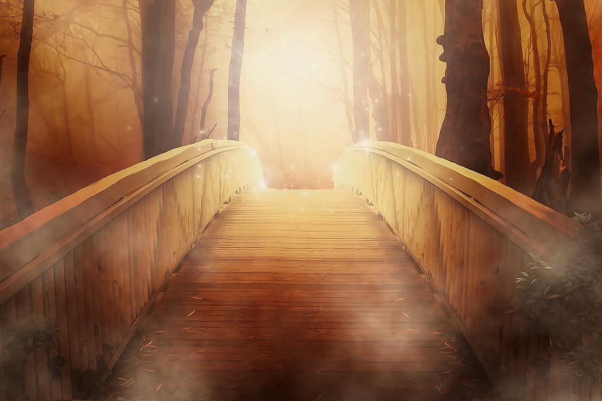 мост, золотой, свет, мистический, драматичный, леса, лес, деревья, дорожка, путь, рассвет