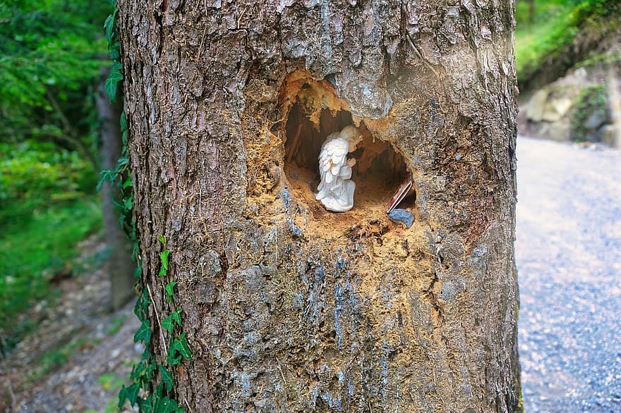 천사 입상, 나무 틈새, 나무 구멍