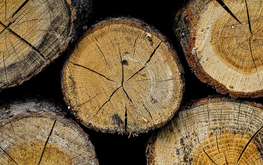 madeira, registro, de madeira, borda, árvore, pilha, floresta, corte transversal, indústria madeireira, círculo, pilha de lenha