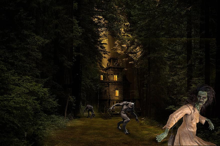 tło, las, dom, Weir Wolfs, czarownica, straszny, mężczyźni, drzewo, noc, pieszy, ciemny