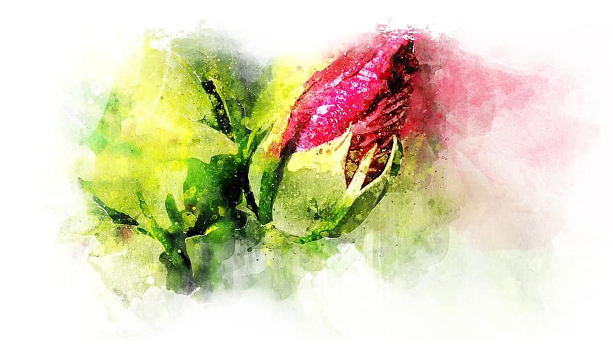 꽃, 화려한, 수채화, 꽃 무늬의, 자연, 색깔, 녹색, 담홍색, 자연스러운, 노랑, 디자인
