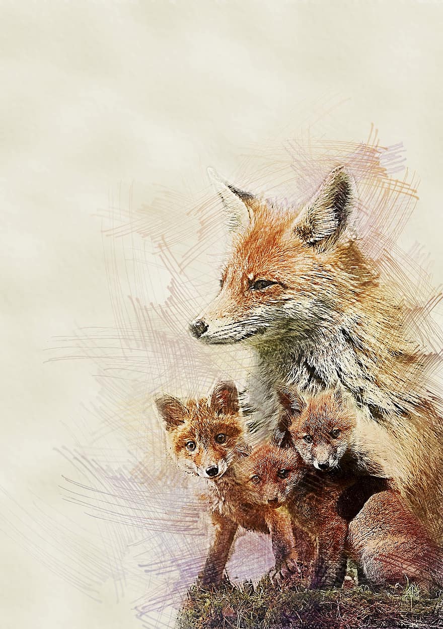 червен, лисица, семейство, малките, дивата природа, природа, животно, бозайник, хищник, пустиня, портрет