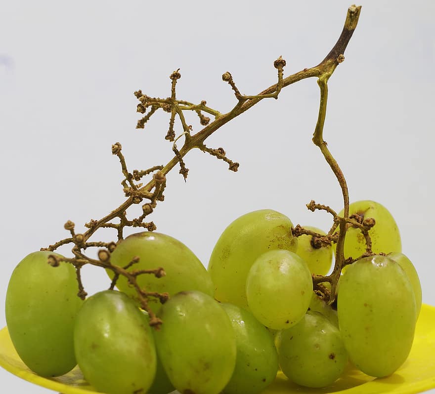 raisins verts, vitis vinifera, plante, du vin, vitis, feuille, vignes, emmêler, Couleur, vinifera, vert