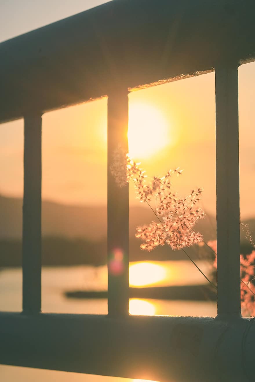 Frame, Windows, Sunset, Nature, Flower, Bridge, River, sun, sunlight, sunrise, dawn
