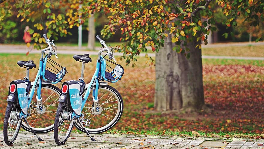 fietsen, herfst, park, paar-, boom, herfstverlof, herfst gebladerte, herfstkleuren, herfstseizoen, natuur, bladeren