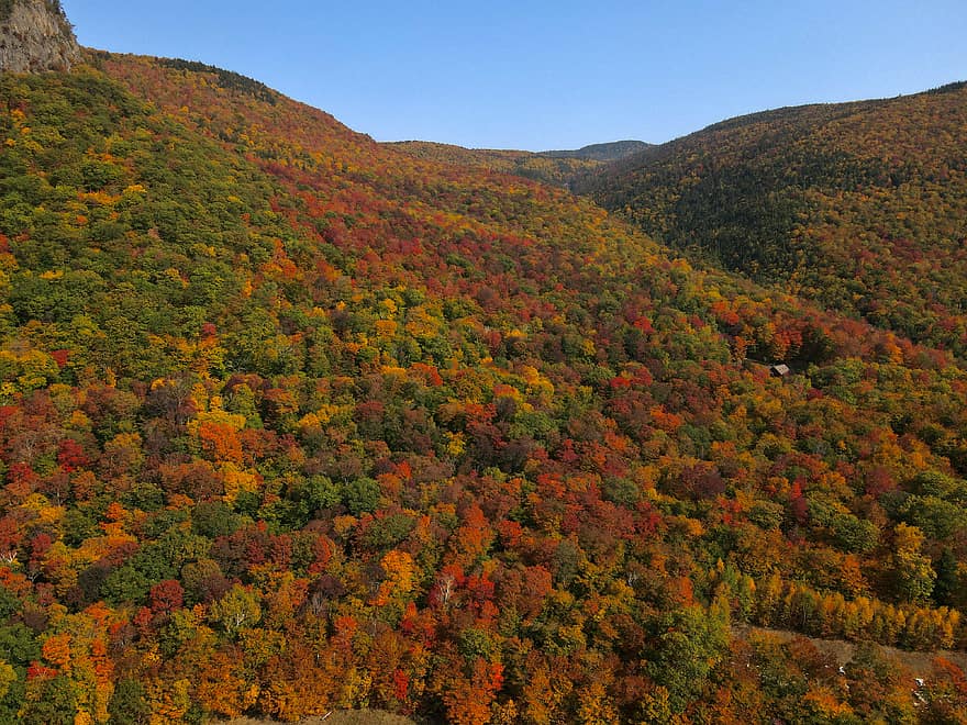 herfst, berg-, vallen, Bos, hemel, blauw, kleur, bladeren, oktober, toneel-, landschap