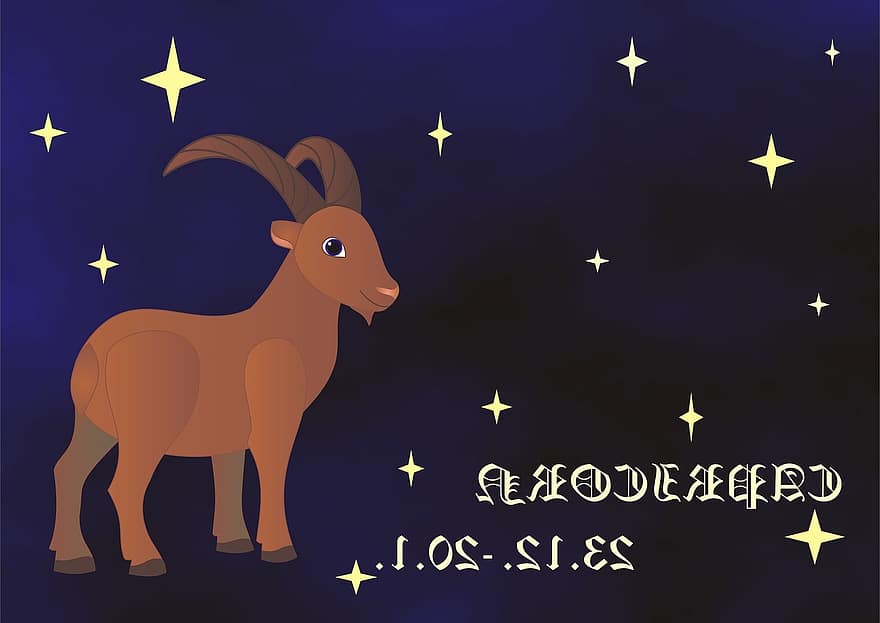 Steinbock, Tierkreis, Horoskop, Sternzeichen