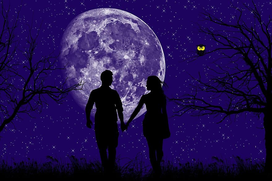 par, silhouette, natt, romantisk, måne, himmel, sammen