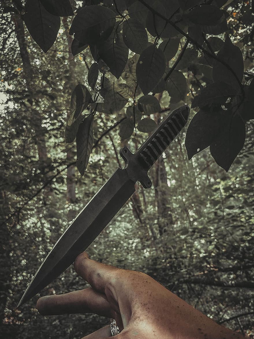 Knife, Blade, Tool, Sharp, Camp, Forest, Wilderness, Adventure, Survival, Explore, Tactical