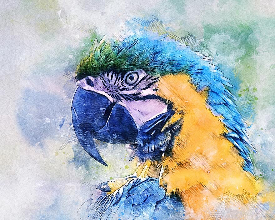papegaai, vogel, exotisch, blauwe ara, hoofd, portret, dier, gevederte, natuur, schilderij, digitaal schilderij