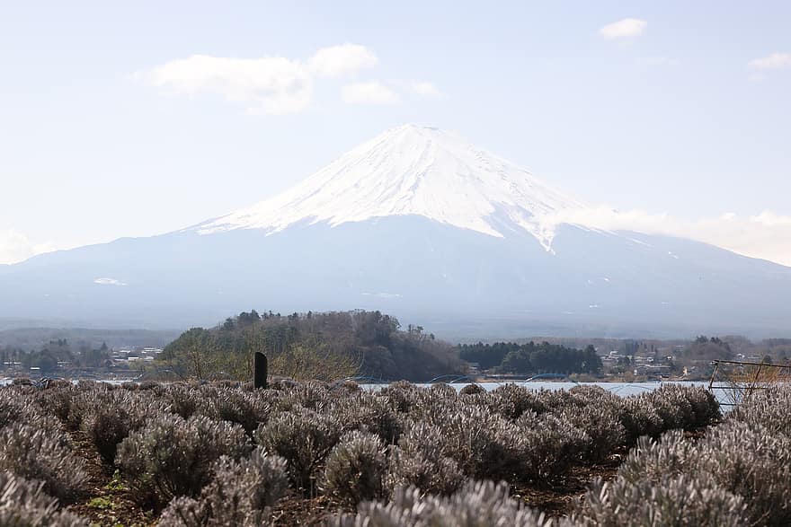 berg-, vulkaan, sneeuw, mount fuji