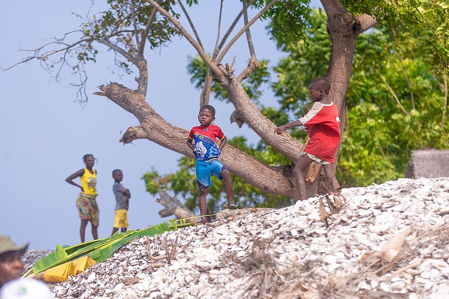 เด็ก ๆ, เด็กชาย, เล่น, เด็ก, วัยเด็ก, ต้นไม้, กลางแจ้ง, ตัวเมือง, ประเทศคองโก