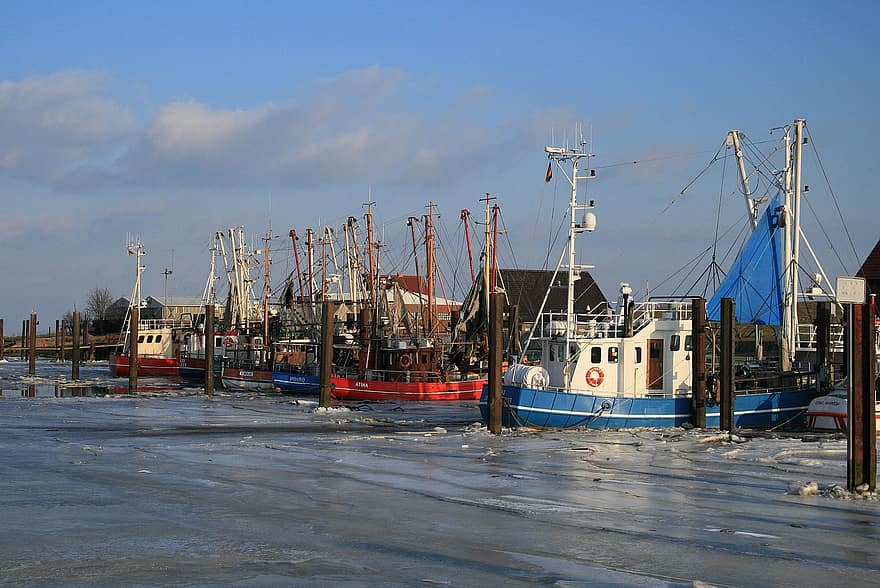 přístav, rybářské lodě, led, zamrzlý, záliv, zimní