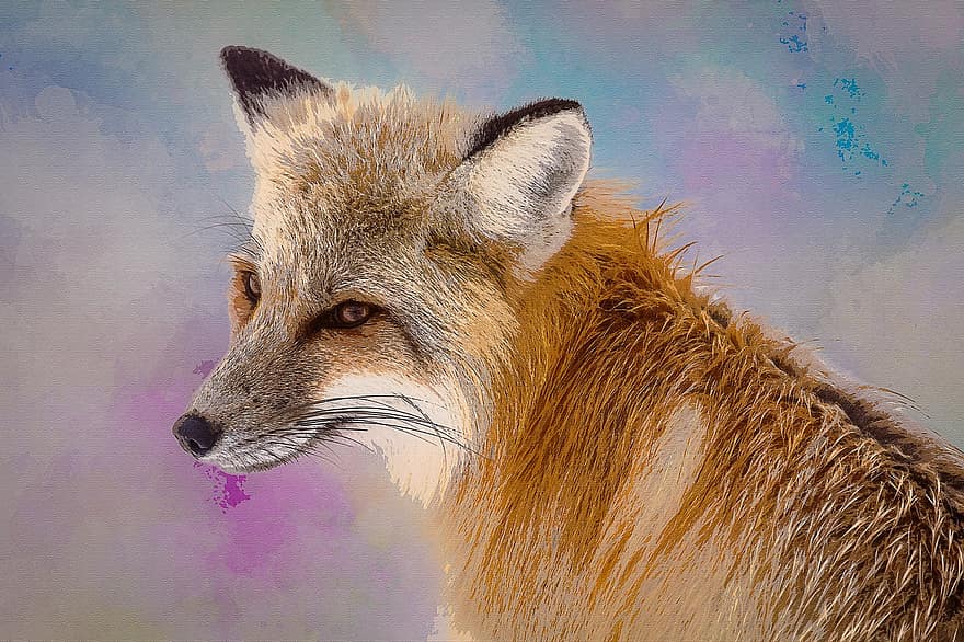 Fox, Animal, Oil Painting, Background, Abstract, Painting, Color, Brown Abstract, Brown Painting