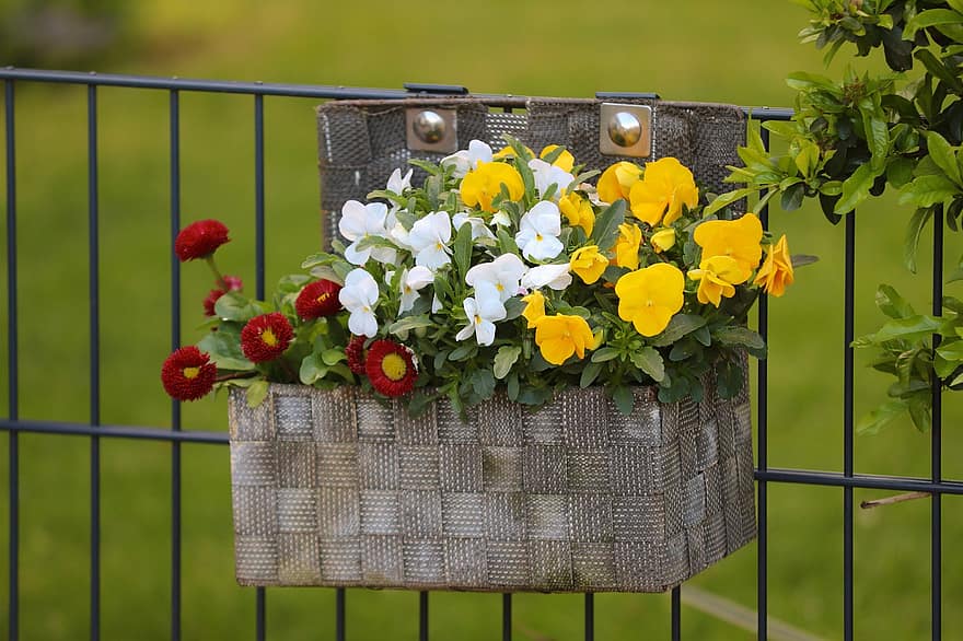 bunga-bunga, kotak tanaman, pagar, Kotak bunga, dekorasi, dekoratif, bunga berwarna-warni, berkembang, tanaman, taman