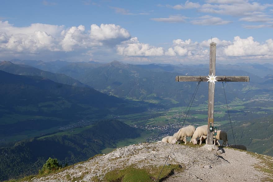 крест на высшем уровне, овца, гора, stoderzinken, Австрия, животные, Gröbming, поход, сельская сцена, трава, пейзаж