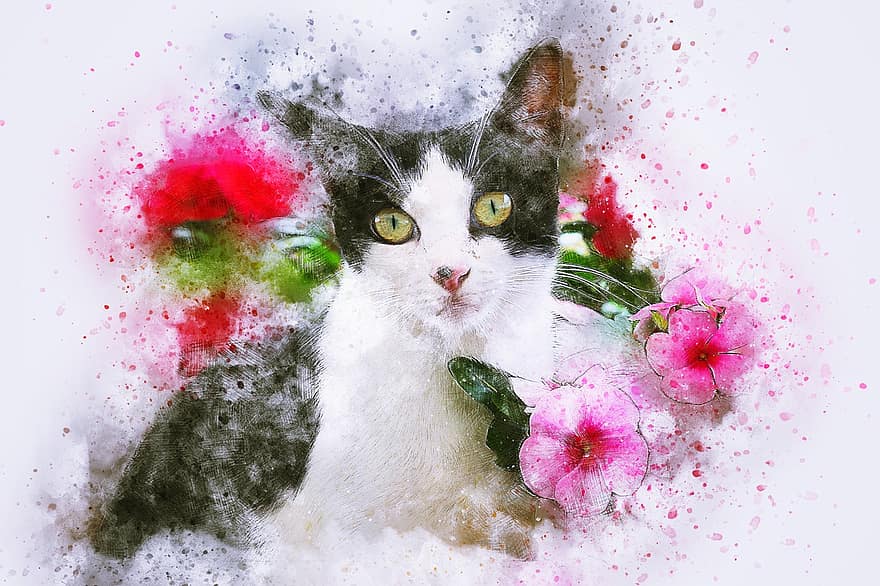 con mèo, thú vật, nghệ thuật, trừu tượng, những bông hoa, màu nước, cổ điển, Thiên nhiên, Đầy màu sắc, thuộc về nghệ thuật, thiết kế