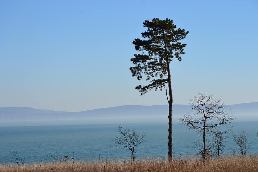 Nature, Lake, Travel, Exploration, Outdoors, Wilderness, Somogy, Lake Balaton, Landscape, Mountains, tree